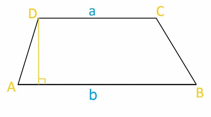 محاسبه مساحت ذوزنقه به زبان ساده ذوزنقه چیست؟
