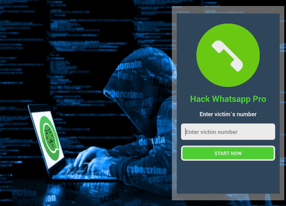 هک واتساپ فوری | آشنایی با 4 روش هک کردن سرعتی Whatsapp