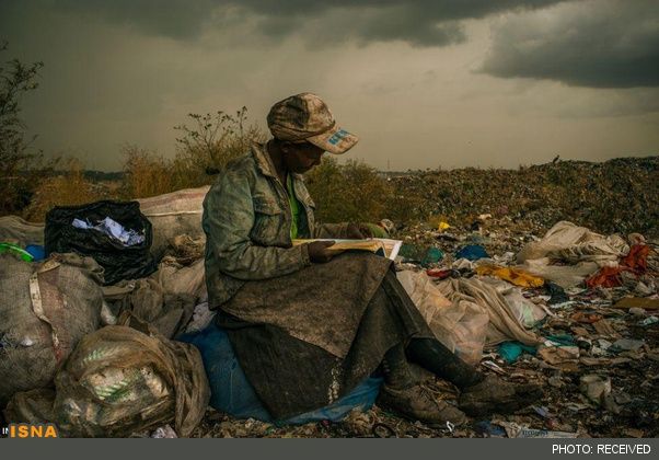 آیا شما هم سگتون رو پوشک می‌کنید؟!